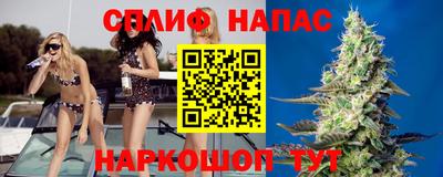амфетамин Гатчина